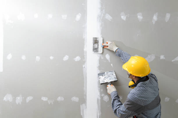 Best Custom Drywall Designs  in Buckley, WA